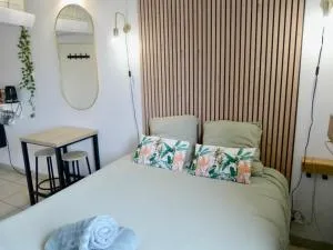 Charmant studio le clos d'Aix parking privé gratuit et piscine - 勒皮伊圣雷帕拉德