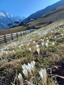 Berggasthof Stallwies