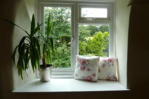 Beautiful Dartmoor cottage overlooking vineyard