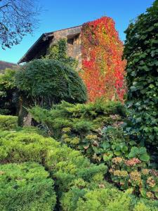 Maisons d'hotes DIMANCHEVILLE : photos des chambres