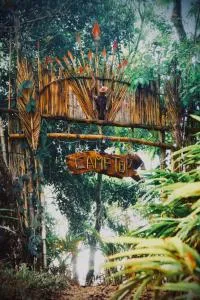 Camptop Munnar - Kallar Vattiyar