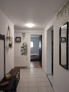 Sur les pas de Pierre Paul Riquet