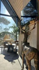 One & Only - Peace For You, Zlatibor - 普列夫利亚