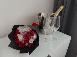 Apartmán s balkónem, klimatizací a infrasaunou