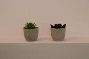 ANTICO GIARDINO - Lory