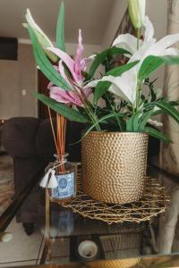 Studio apartment-Kloof Street