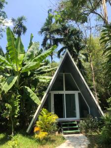 Ample Forest Khao Sok Farmstay