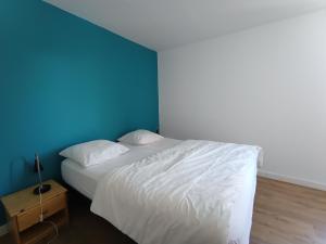 Appartements 3 pieces confort - 6 pers - Pistes - Wifi - Parking - FR-1-445-6 : photos des chambres