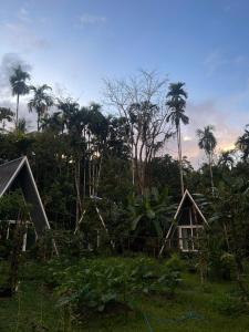 Ample Forest Khao Sok Farmstay