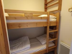 Appartements Appartement cosy a 20m des pistes, plein sud avec terrasse, pour 4 pers., parking couvert. - FR-1-445-168 : photos des chambres