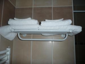 Appart'hotels Residence L'Etoile du Sancy : photos des chambres