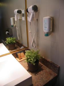 Hotels Saint Ferreol : photos des chambres