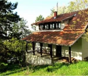 Kuca u sumi Kosmaj - Stojnik