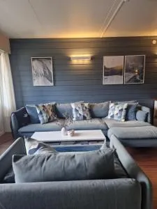 Storehorn Apartments Hemsedal - Fausko