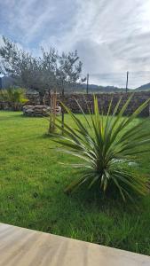Maisons de vacances La maison de la detente : photos des chambres