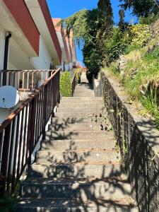 Amazing view of the river Donau