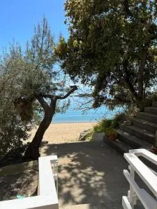 Secret Bay - 帕雷恩特西菲基昂