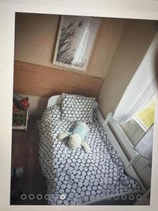 Lazurowy Azyl Borzygniew