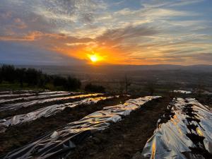 I profumi della terra