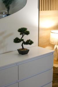 Appartements Le Refuge #200m Francois 1er : photos des chambres