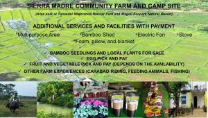 Amarah's Place by Sierra Madre Community Farm and Camping Site