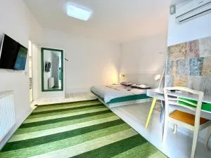 Pensiunea Damir Arad - Vladimirescu