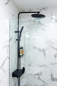 Apartamentos Cibeles Centro Histórico, Nuevo Establecimiento