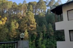 Nainital Luxury Cotteges