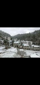 Nainital Luxury Cotteges
