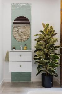 Encanto canario en Arucas