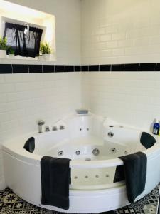 Appartements La Cle des Champs - Studio PiscineSPA-Sauna au jardin tropical idyllique et bucolique : photos des chambres