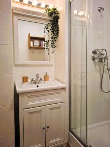 Un colțișor de rai - la o privire de Centrul Vechi