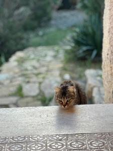 Villa sul Mare Calalunga Calasetta Sant Antioco img55