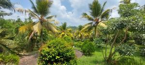 Yaya Estate