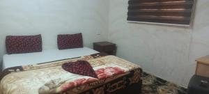 Dana Moon hostel