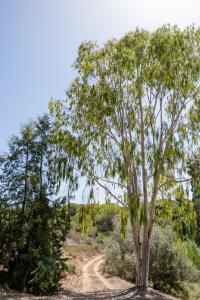LAZY HIKERS by Nature Bliss