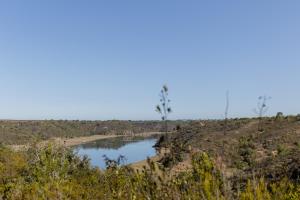 LAZY HIKERS by Nature Bliss