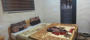 Dana Moon hostel