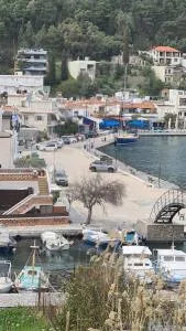 Dinospito - Oinoússai