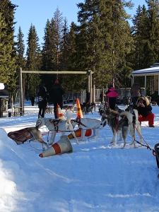 Le Paradis Blanc Sauna & Spa