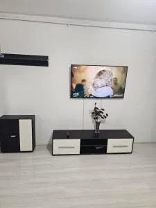 Garsoniera Ioana - 斯维什托夫