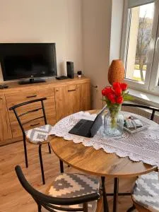 Spokojne i miłe miejsce na Mazurach, nowe po remoncie - Worpławki