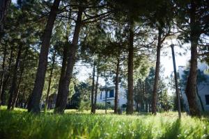 Apartment by the sea