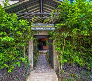 Hostel Casa de las Palmas Tours