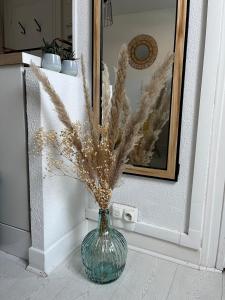 Studio Cosy Centre de Reims