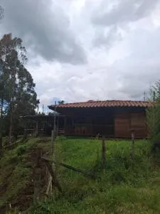 Cabaña los eucaliptos - Riosucio