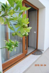 Residence Rapisardi by RECEPTIO