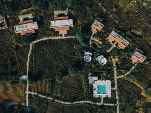 Sariska Lodge