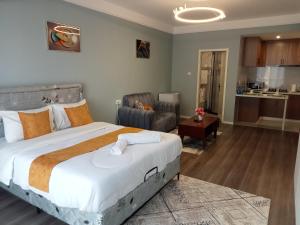 Cozy Alba Studio with City Views