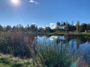 Ferienhaus mit Sauna nah zum Bade- und Angelsee